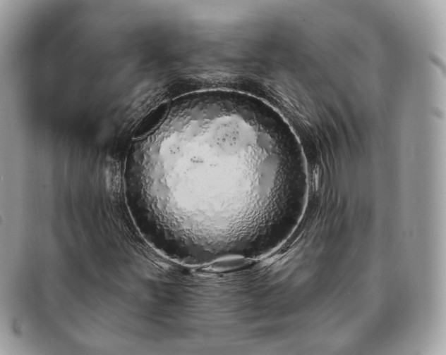 X0000091311251200708171407