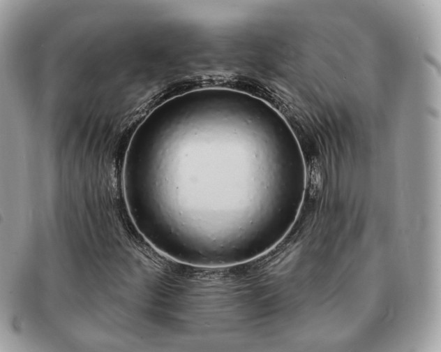 X0000091311252200708171407