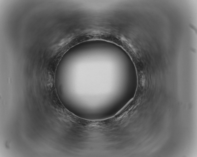 X0000091311253200708171407