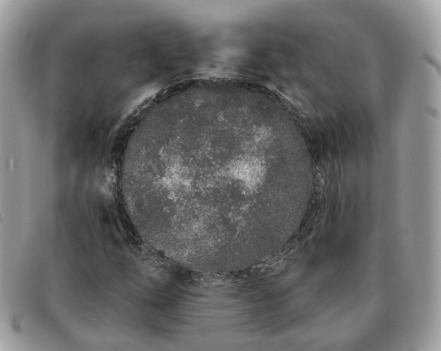 X0000091311254200708171407