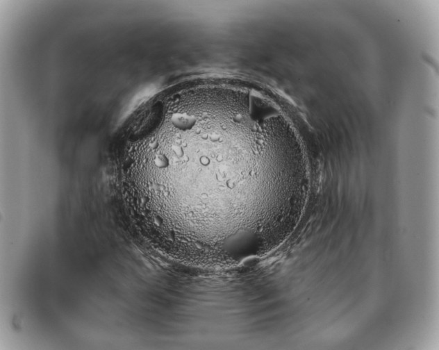 X0000091311255200708171407