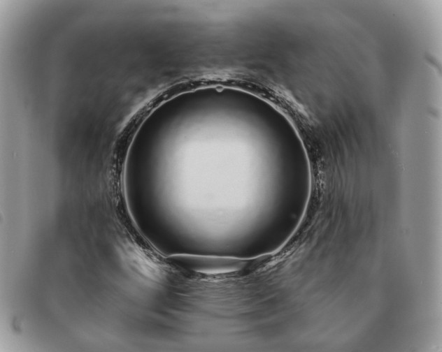 X0000091311256200708171407