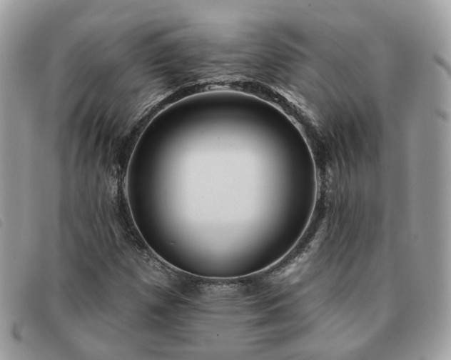 X0000091311257200708171407