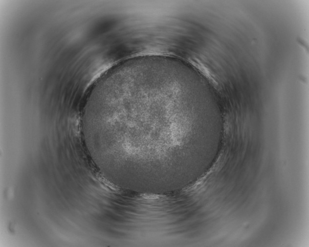 X0000091311258200708171407