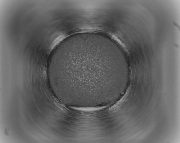 X0000091311259200708171407