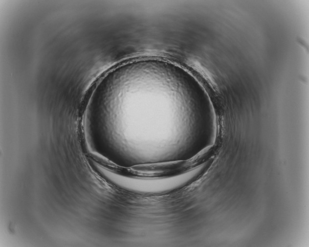 X0000091311260200708171407