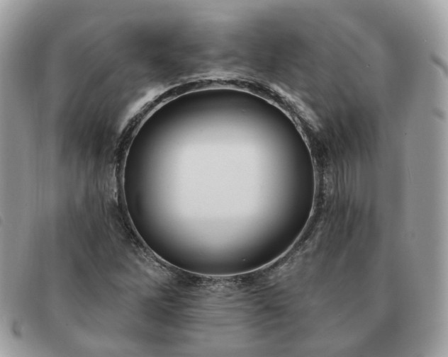 X0000091311262200708171407