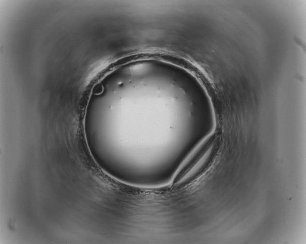 X0000091311263200708171407