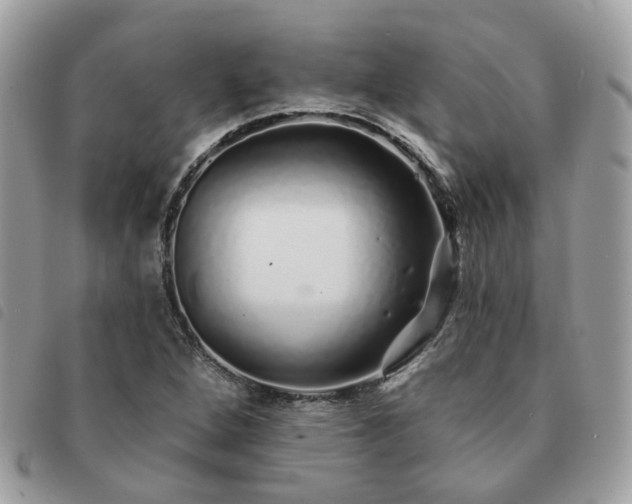 X0000091311264200708171407