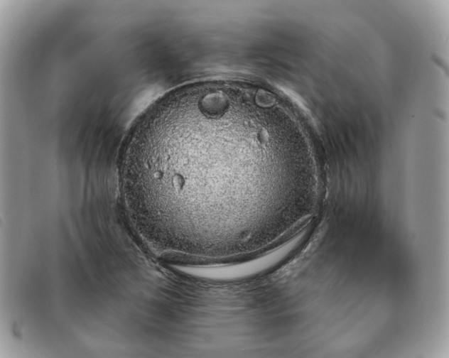 X0000091311267200708171407