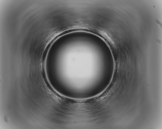 X0000091311268200708171407