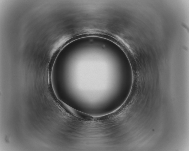 X0000091311269200708171407