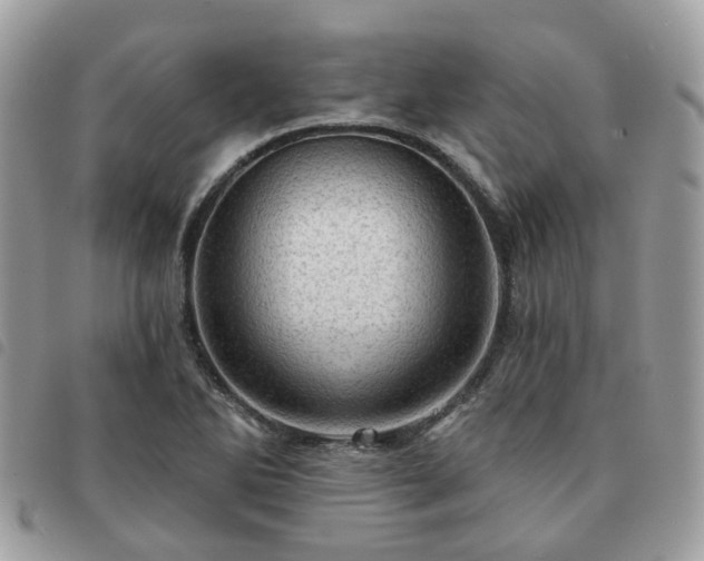 X0000091311270200708171407