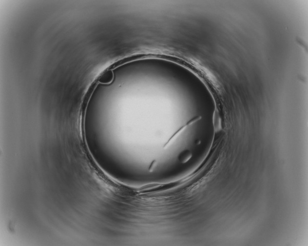 X0000091311272200708171407