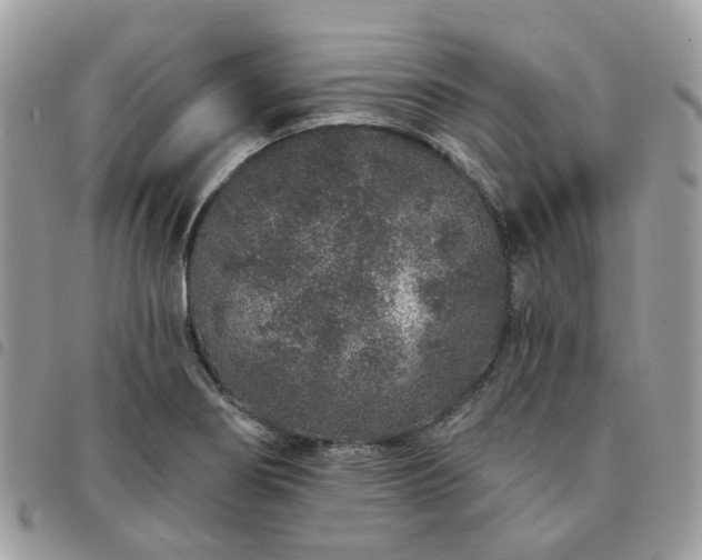 X0000091311274200708171407