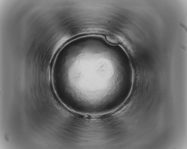 X0000091311275200708171407