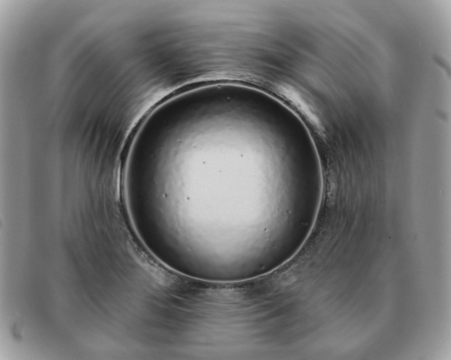 X0000091311276200708171407