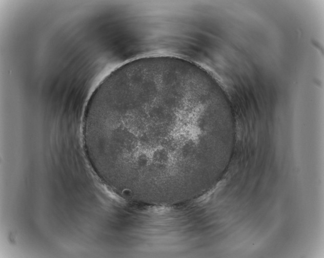 X0000091311278200708171407