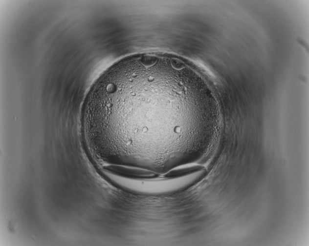 X0000091311279200708171407