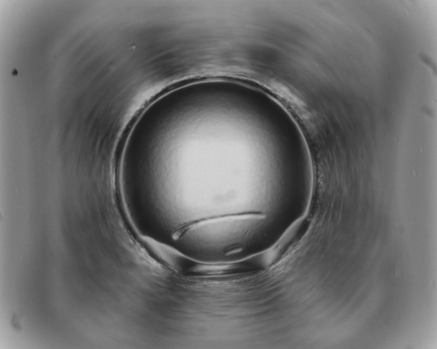 X0000091311280200708171407