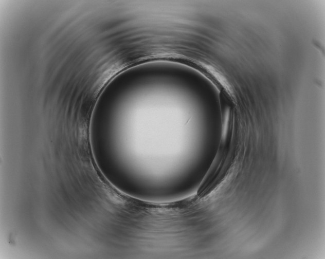 X0000091311281200708171407