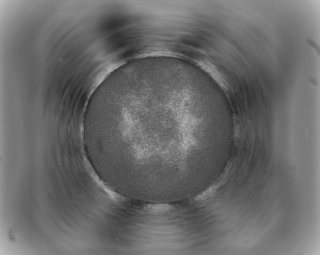 X0000091311282200708171407