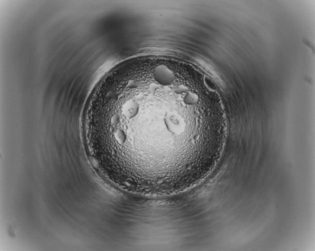 X0000091311283200708171407