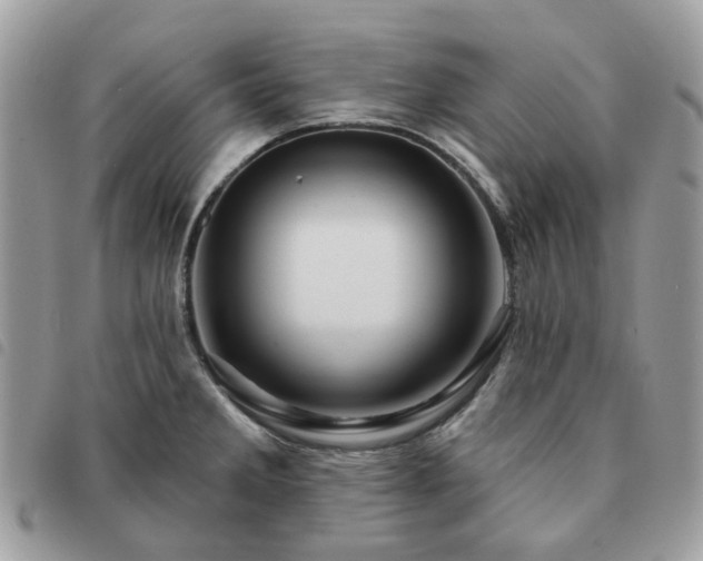 X0000091311285200708171407