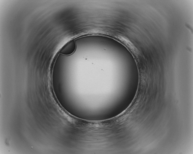 X0000091311286200708171407