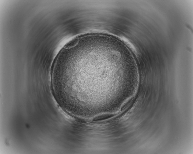 X0000091311287200708171407