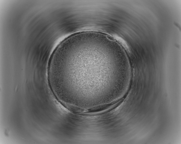 X0000091311288200708171407