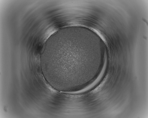 X0000091311289200708171407