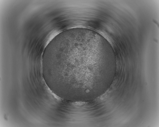 X0000091311290200708171407