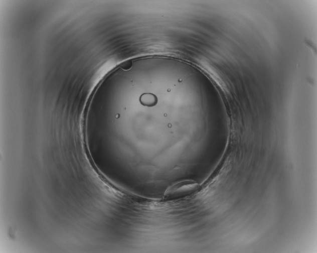 X0000091311291200708171407