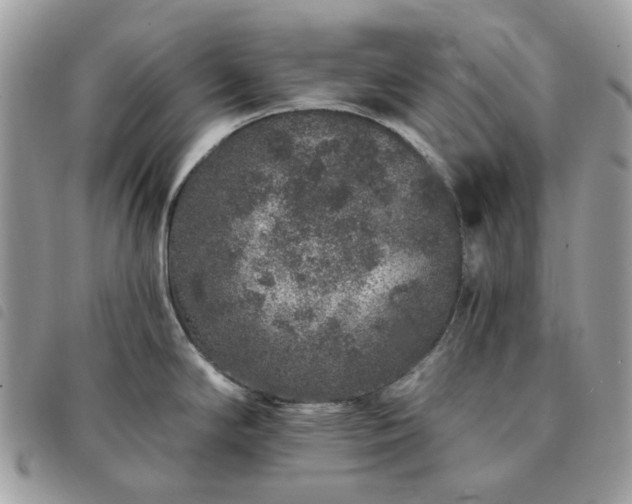 X0000091311294200708171407