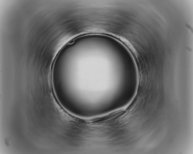 X0000091311295200708171407