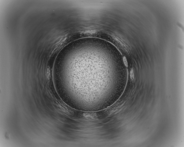 X0000091311299200708171406