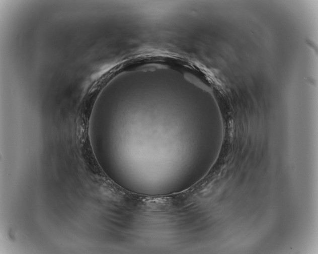 X0000091311303200708171406