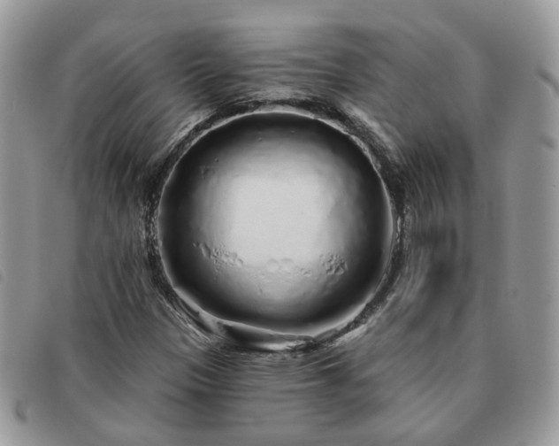 X0000091311305200708171406