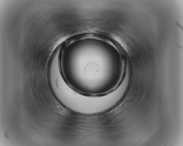 X0000091311308200708171406