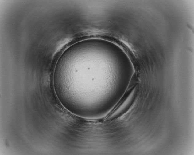 X0000091311309200708171406