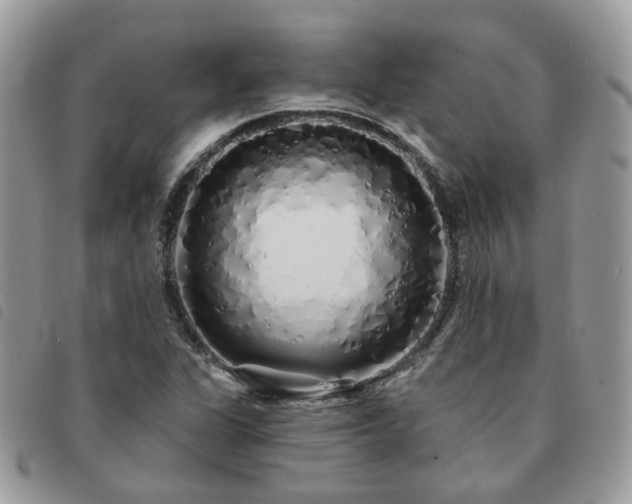 X0000091311311200708171406