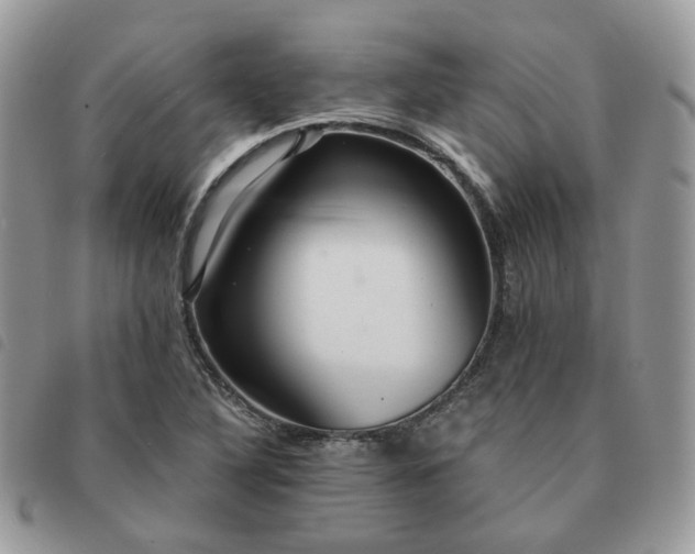 X0000091311316200708171406