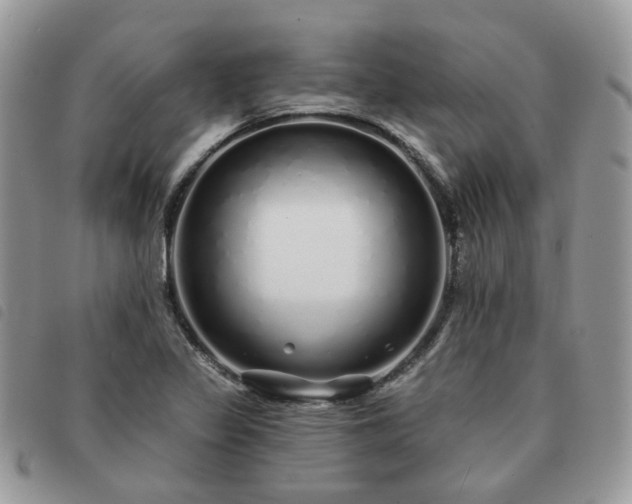 X0000091311317200708171406