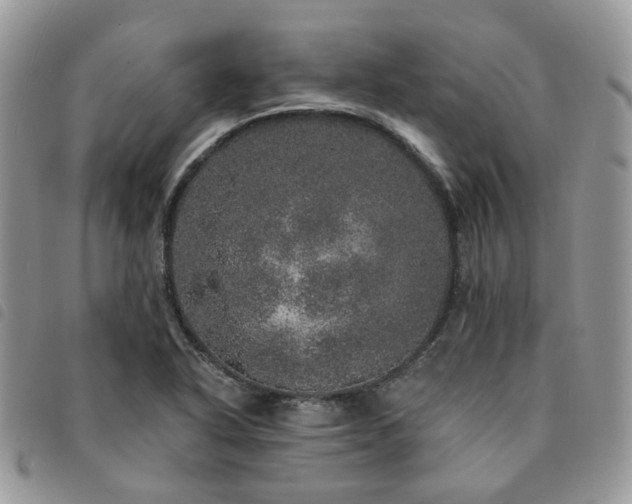 X0000091311318200708171406