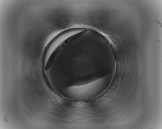 X0000091311319200708171406