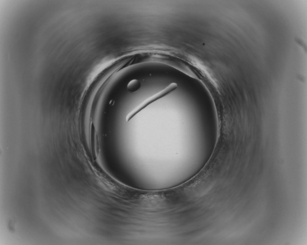 X0000091311320200708171406