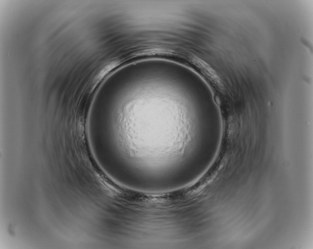 X0000091311321200708171406