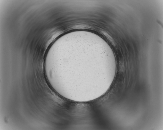 X0000091311322200708171406