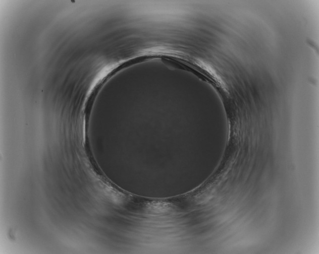 X0000091311323200708171406